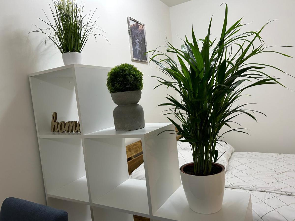 וינה 55 M2 Stylish Apartment With Balcony & Parking מראה חיצוני תמונה