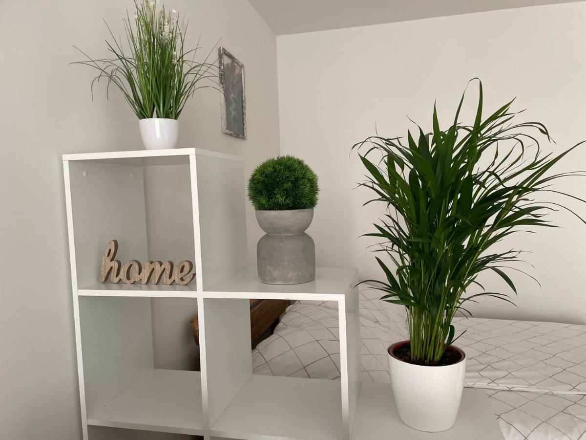 וינה 55 M2 Stylish Apartment With Balcony & Parking מראה חיצוני תמונה